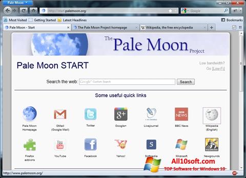 截圖 Pale Moon Windows 10